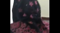 Pakistani hijabi bitch fucking with bull in rawalpindi