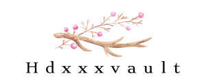 HdXxxVault